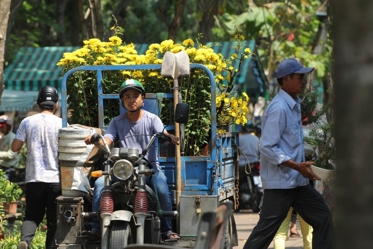 het-gio-ban-tieu-thuong-dap-pha-vut-hoa-cuc-mai-len-xe-rac-dut-khoat-khong-cho-o-tp-hcm