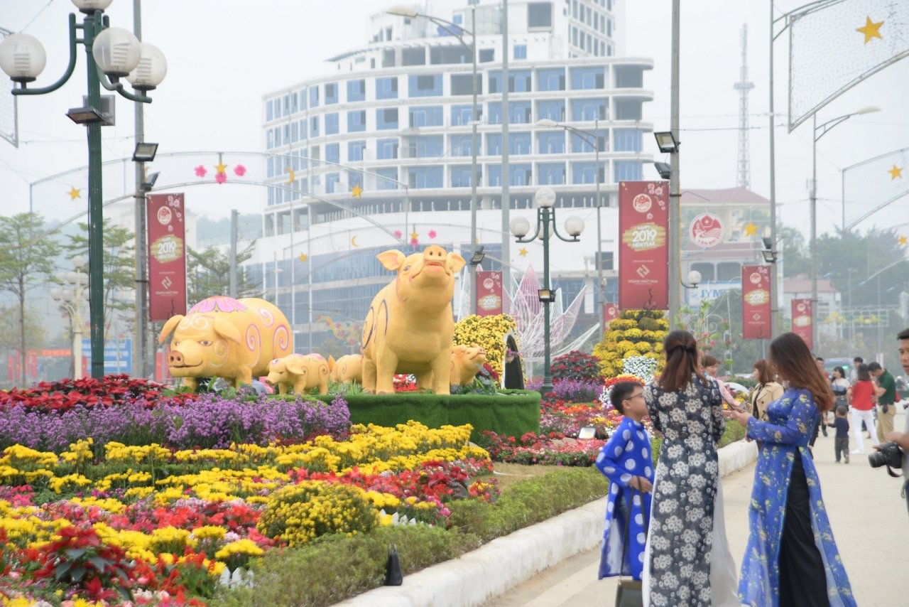 ngam-duong-hoa-ruc-ro-noi-pho-nui-tay-bac