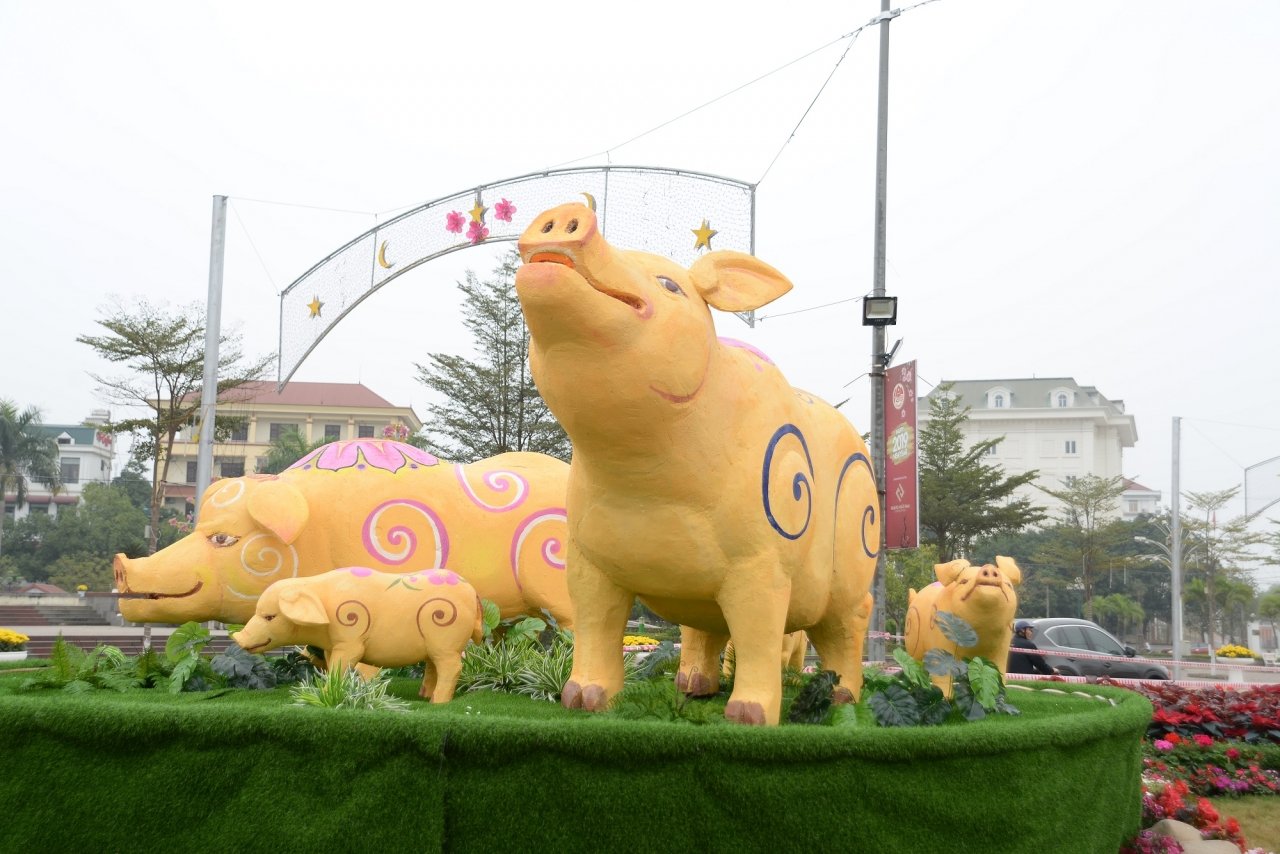 ngam-duong-hoa-ruc-ro-noi-pho-nui-tay-bac