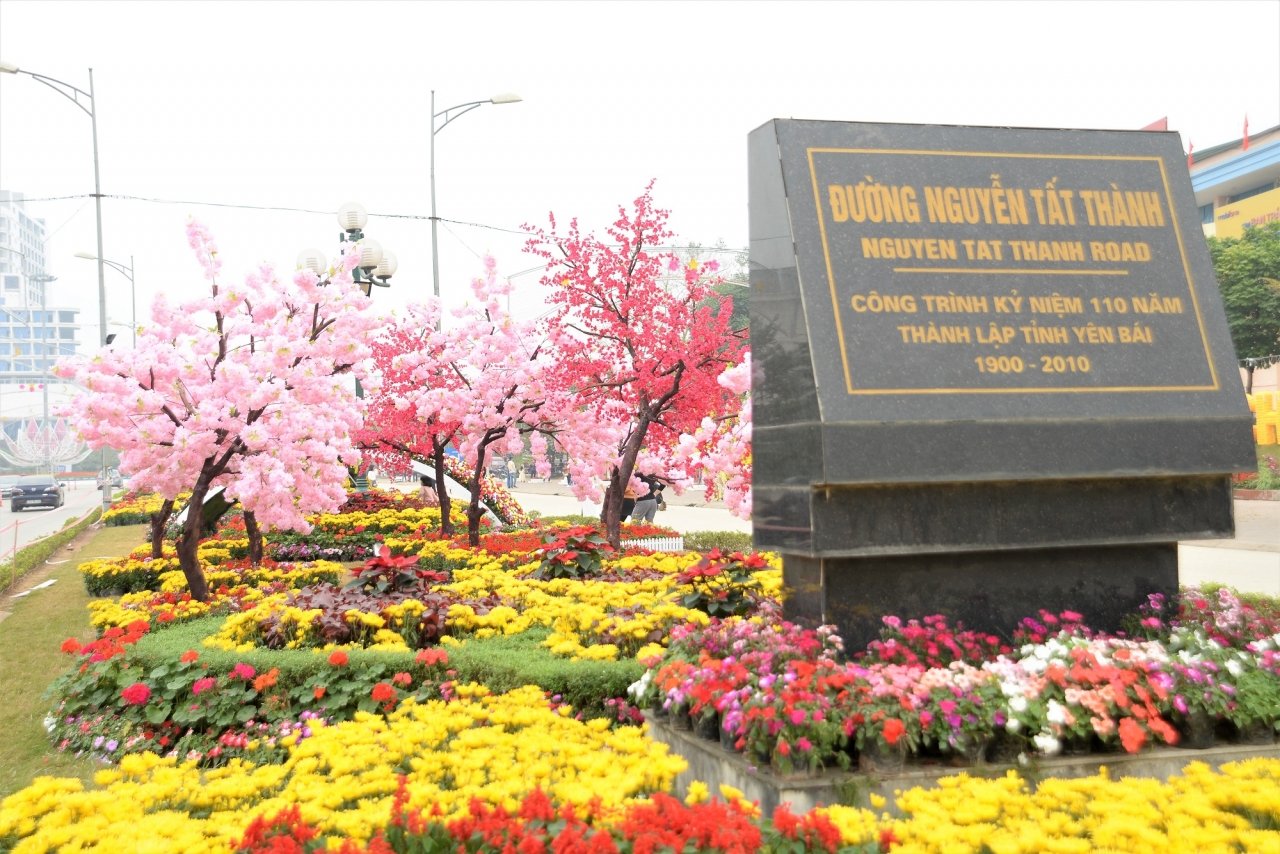 ngam-duong-hoa-ruc-ro-noi-pho-nui-tay-bac