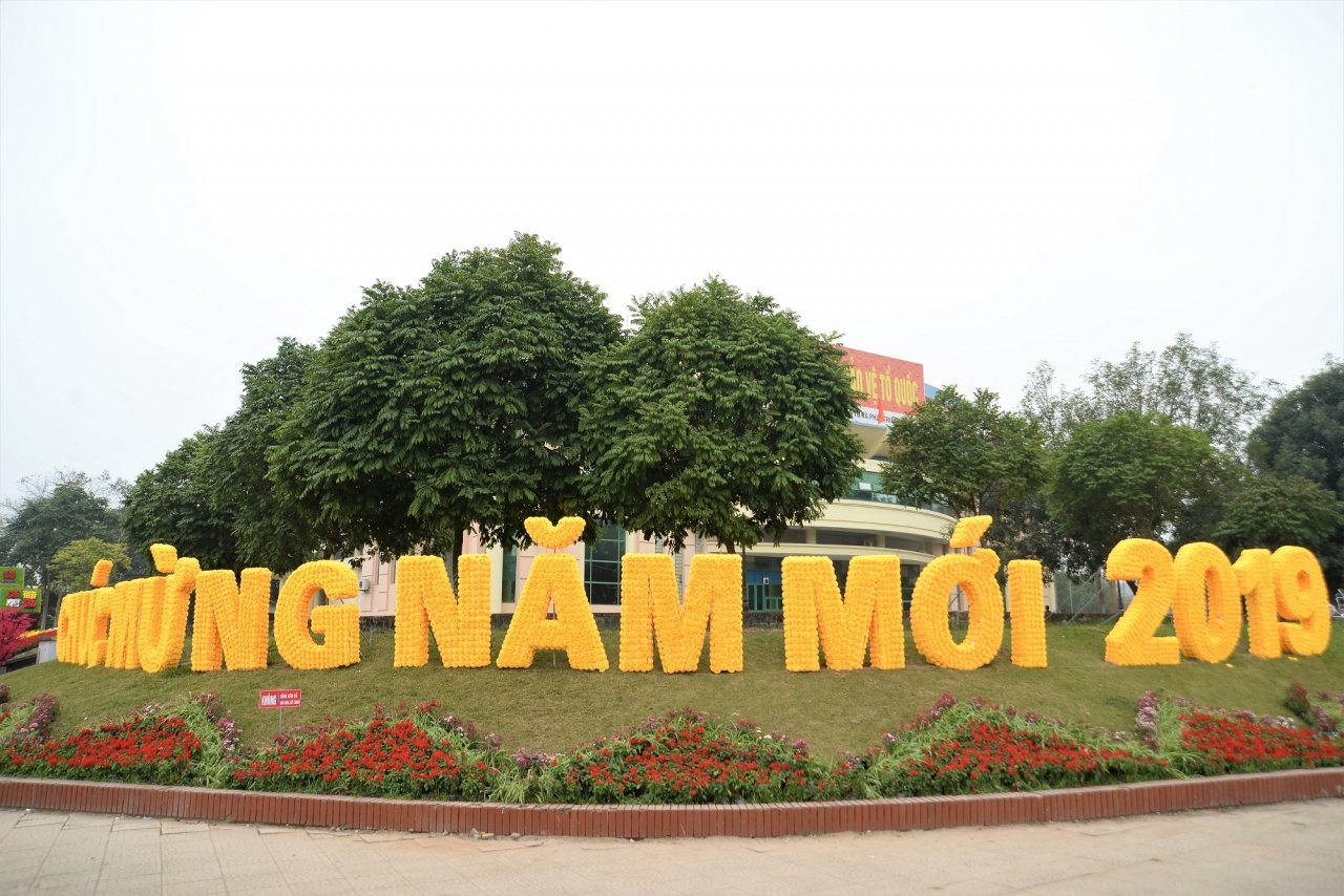ngam-duong-hoa-ruc-ro-noi-pho-nui-tay-bac