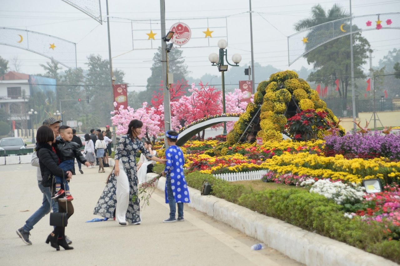 ngam-duong-hoa-ruc-ro-noi-pho-nui-tay-bac
