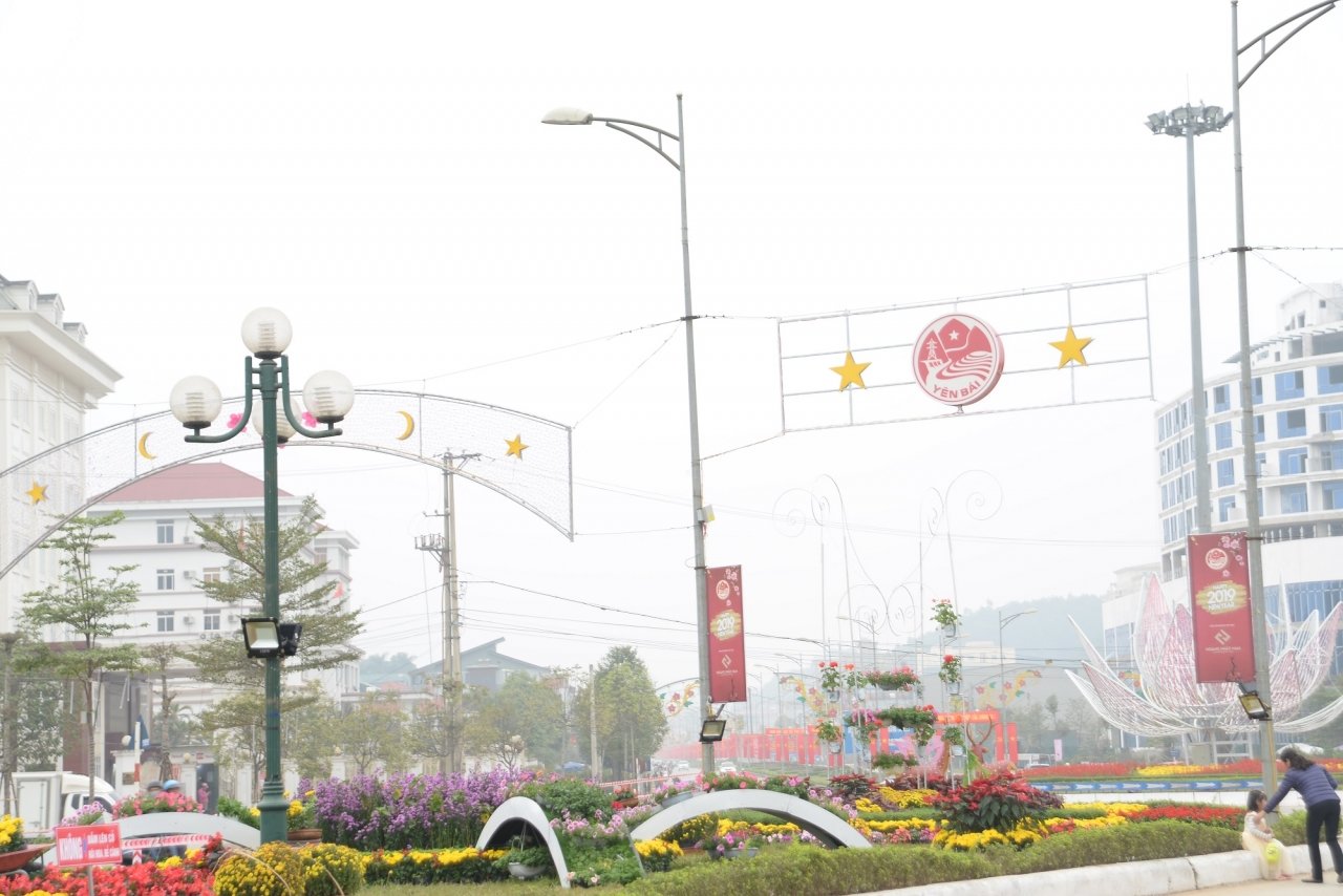 ngam-duong-hoa-ruc-ro-noi-pho-nui-tay-bac