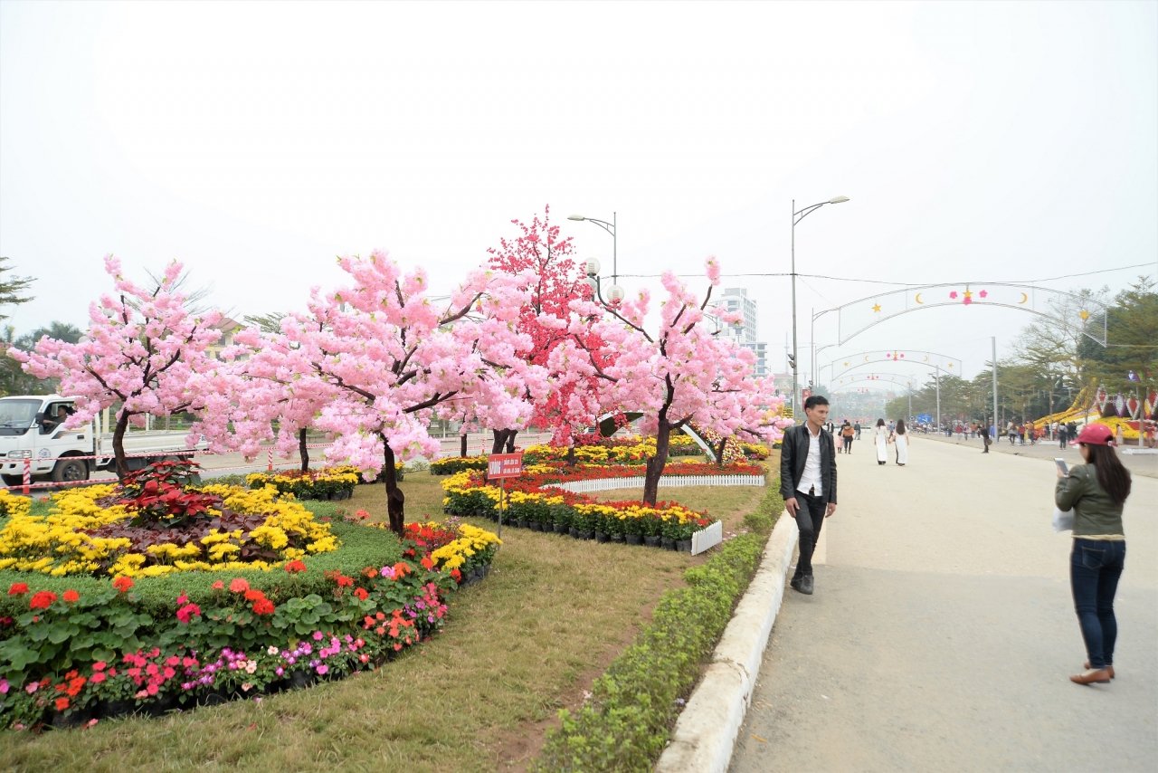 ngam-duong-hoa-ruc-ro-noi-pho-nui-tay-bac