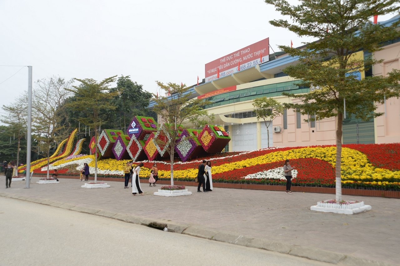 ngam-duong-hoa-ruc-ro-noi-pho-nui-tay-bac