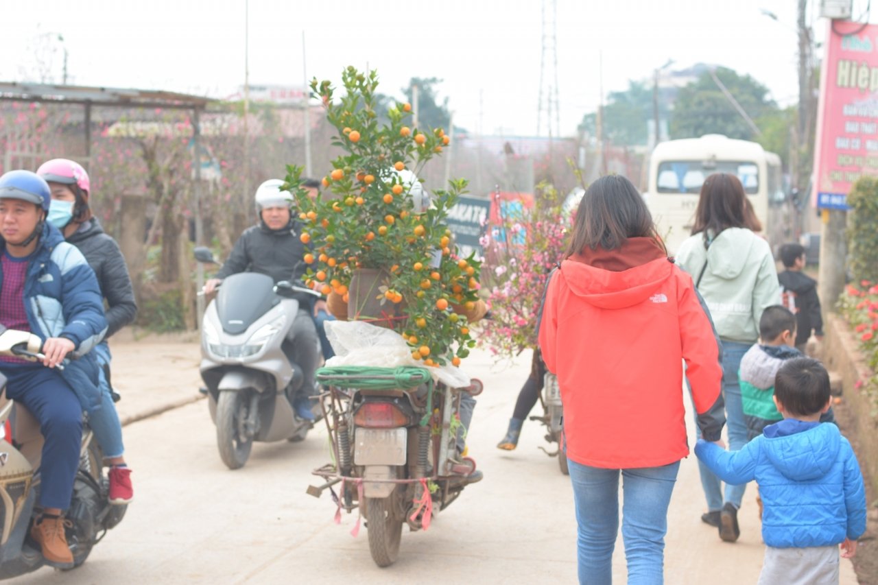 nhung-dich-vu-hot-bac-ngay-30-tet