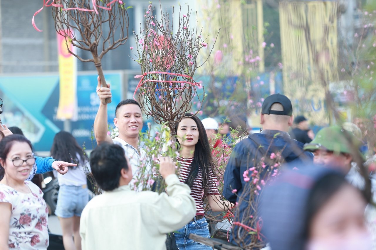 thuong-lai-bo-quat-tren-duong-dao-mai-tut-gia-the-tham-chieu-30-tet