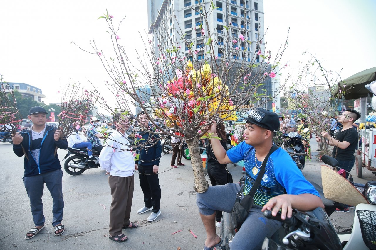 thuong-lai-bo-quat-tren-duong-dao-mai-tut-gia-the-tham-chieu-30-tet