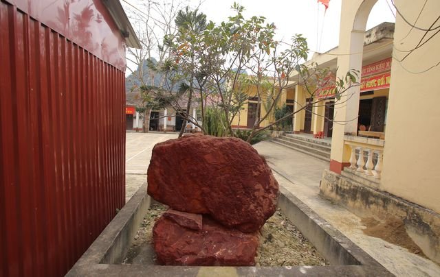 thanh-hoa-ky-dieu-loai-da-do-dung-lam-la-co-to-quoc-trong-lang-bac-ho