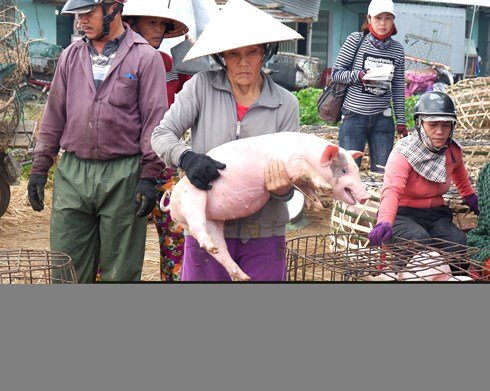 Về nơi có nghề 