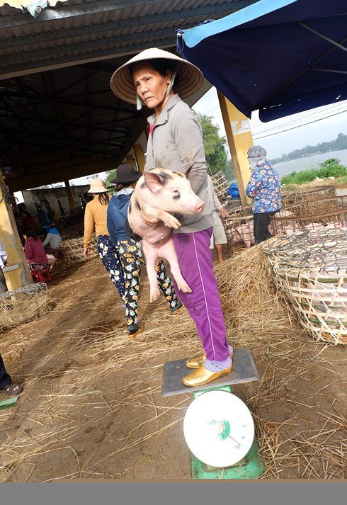 Về nơi có nghề 