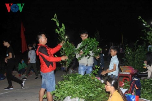 doc-dao-phien-cho-hop-luc-nua-dem-mong-2-tet-o-quang-tri