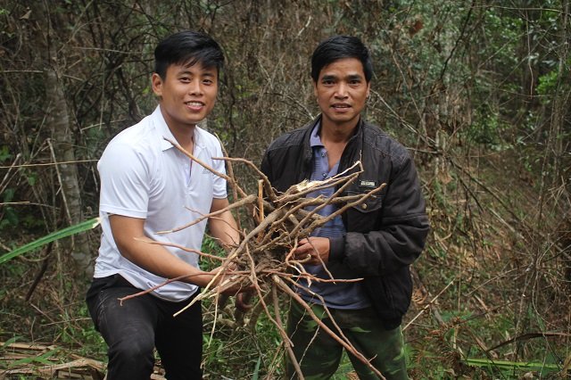 san-loc-dau-nam-xuyen-rung-kon-pne-dao-cu-khoe-uong-ai-cung-me