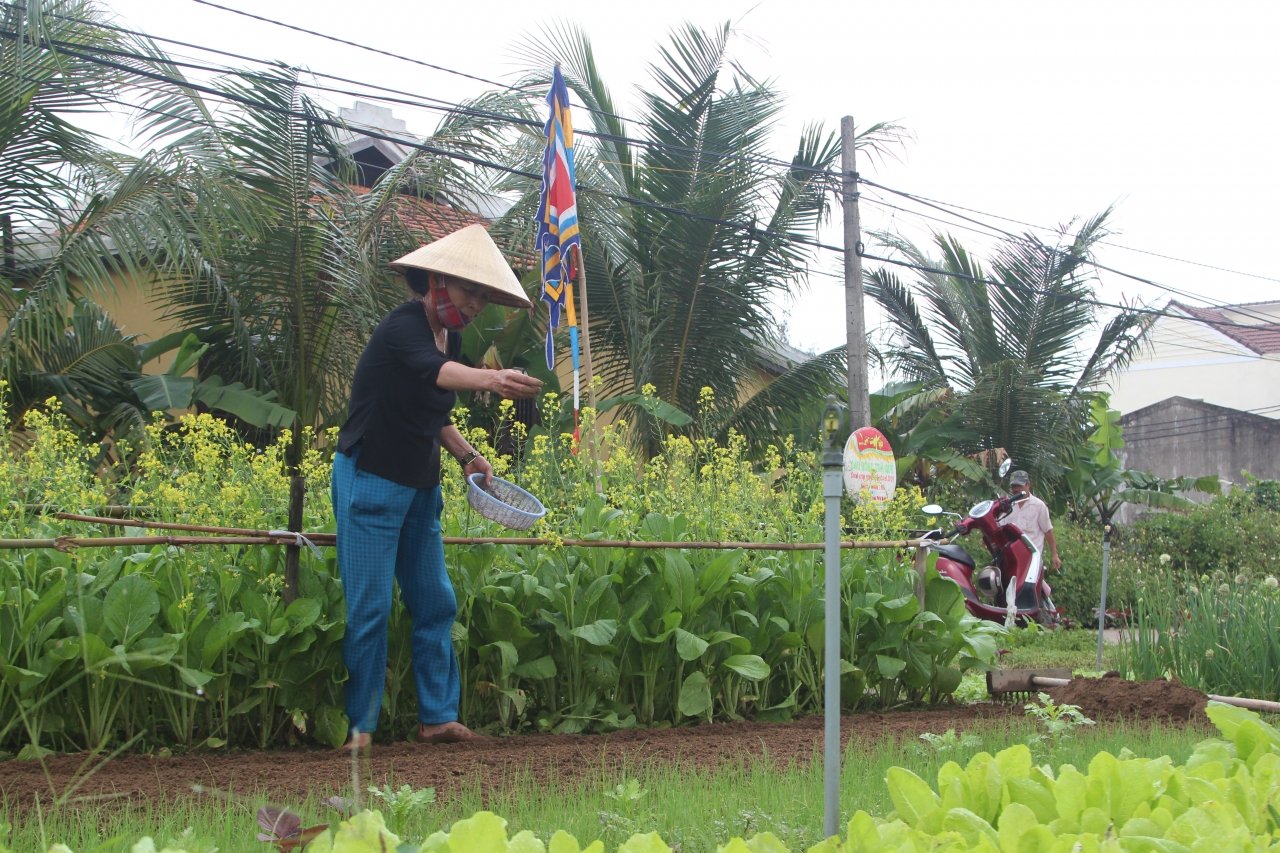 ve-lang-rau-400-tuoi-xem-le-hoi-cau-bong-dau-nam