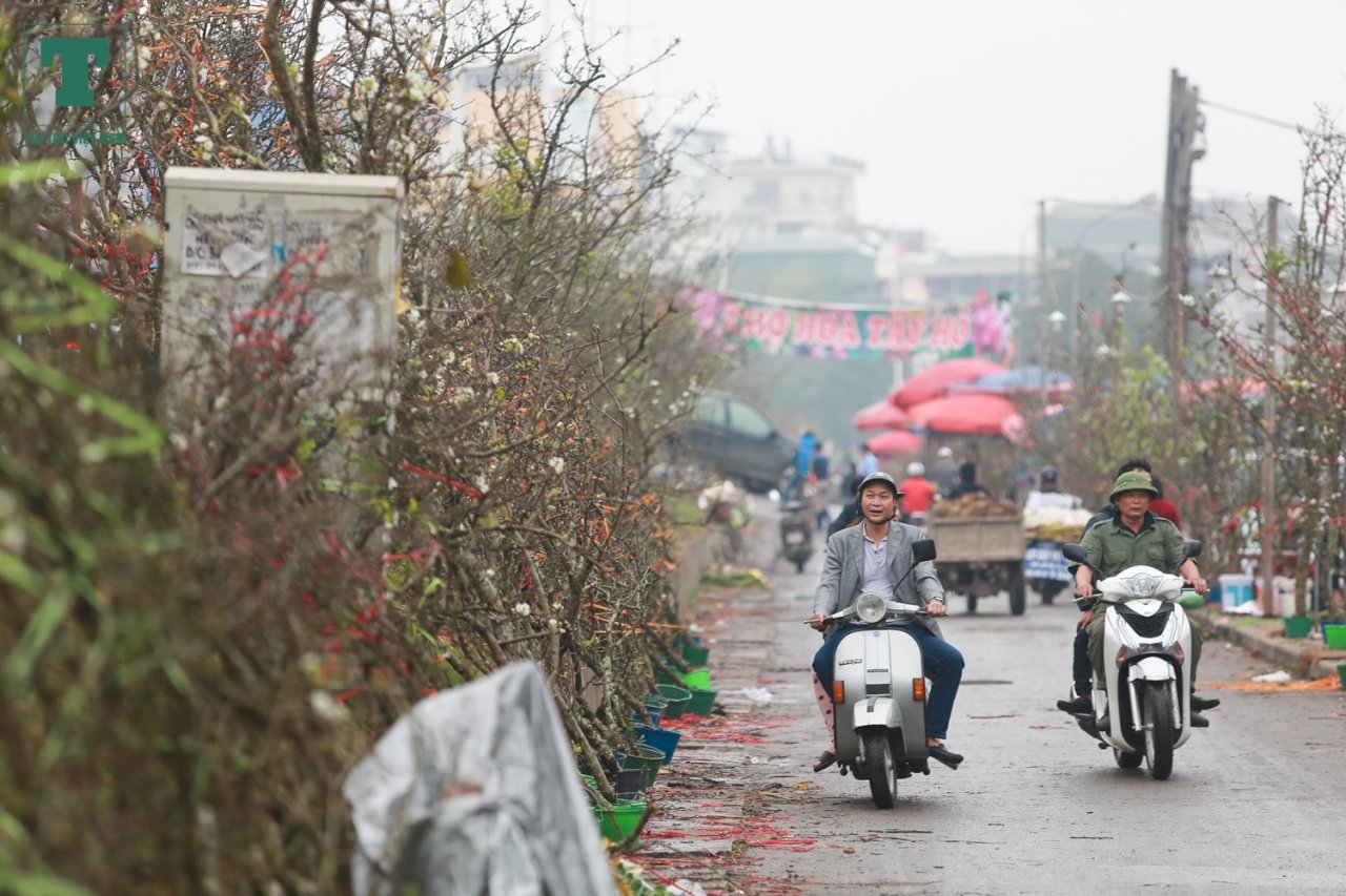 hau-tet-dan-buon-hoa-le-o-ve-ha-noi-kiem-bac-trieu-moi-ngay