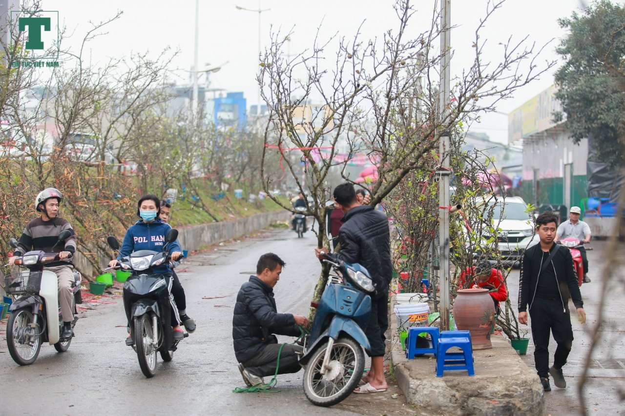 hau-tet-dan-buon-hoa-le-o-ve-ha-noi-kiem-bac-trieu-moi-ngay