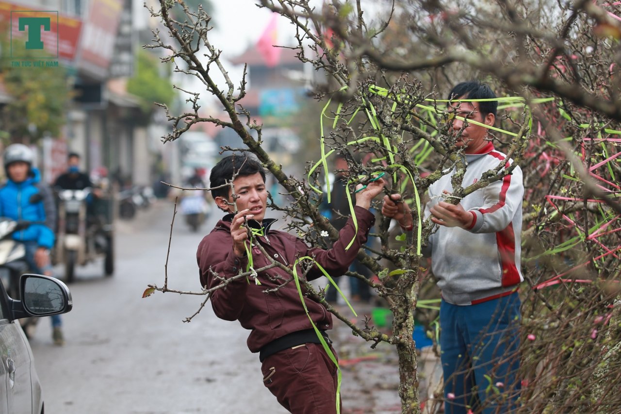 hau-tet-dan-buon-hoa-le-o-ve-ha-noi-kiem-bac-trieu-moi-ngay
