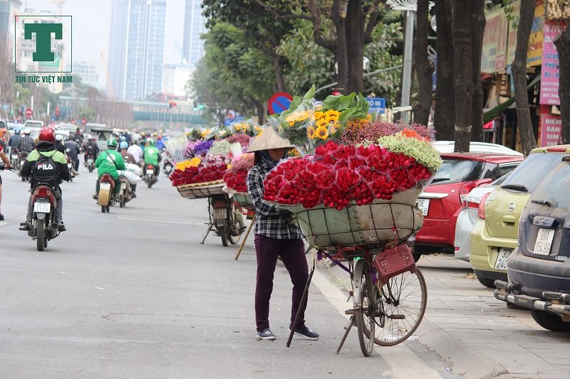 ngay-valentine-2019-gia-hoa-hong-tang-manh-tung-gio