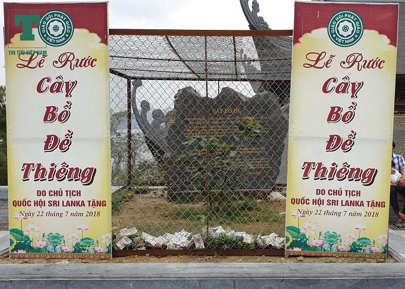 khai-hoi-chua-tam-chuc-du-khach-di-le-nhu-di-cho