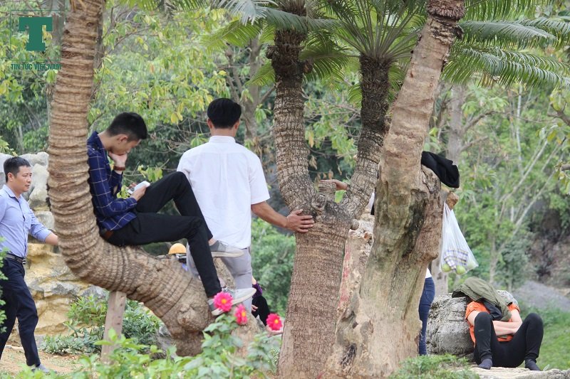 khai-hoi-chua-tam-chuc-du-khach-di-le-nhu-di-cho