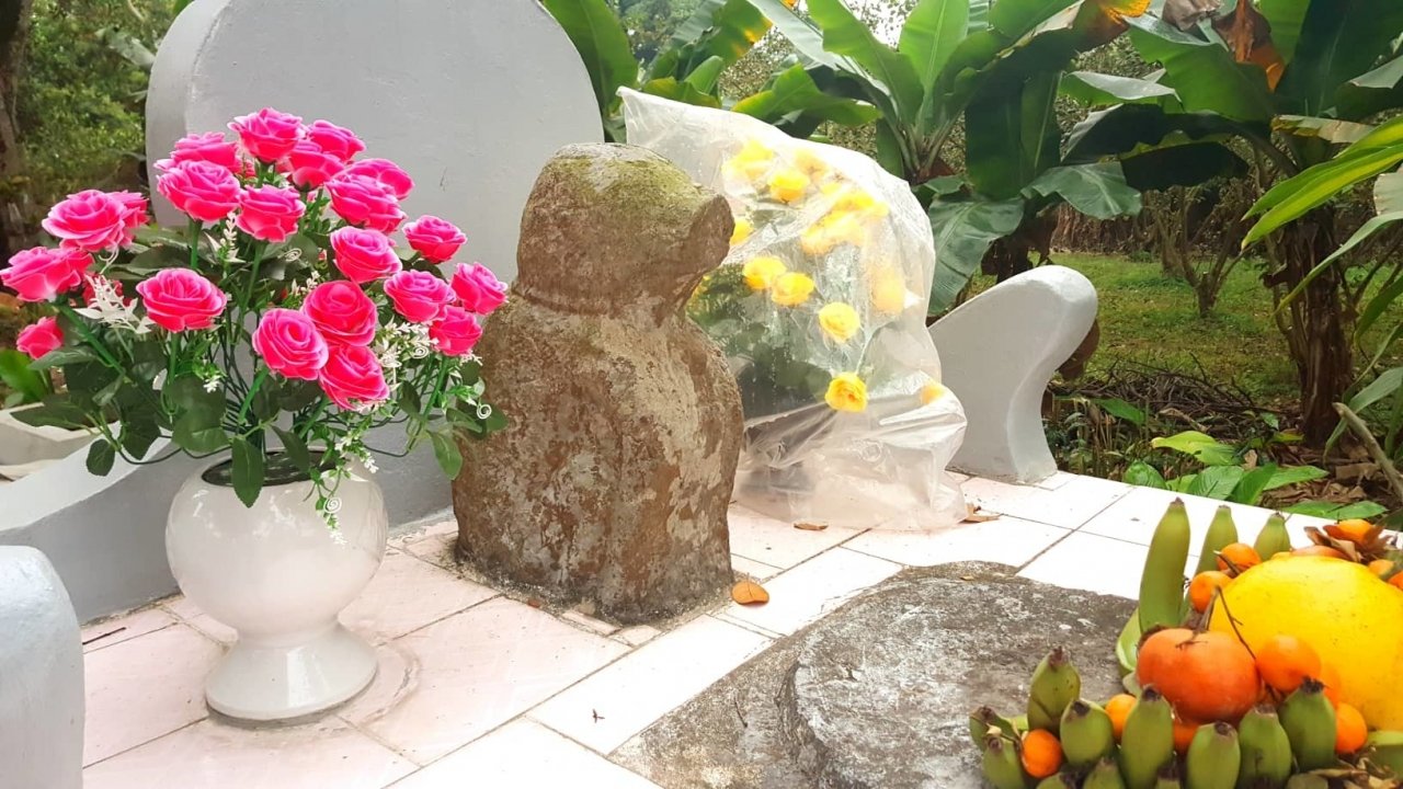 Kỳ lạ ngôi làng có tục thờ chó đá 400 tuổi ở Hà Nội
