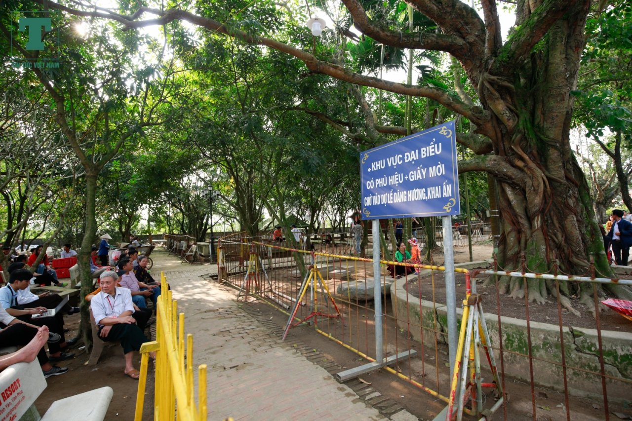 ve-dep-cua-den-tran-truoc-gio-khai-an