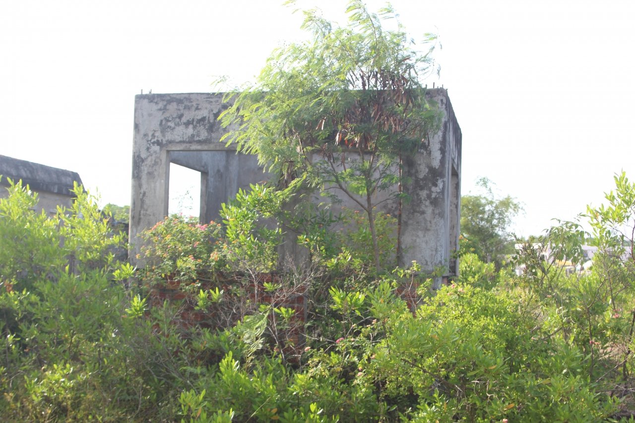hoang-phe-nha-hoa-tang-hon-13-nam-tai-hoi-an