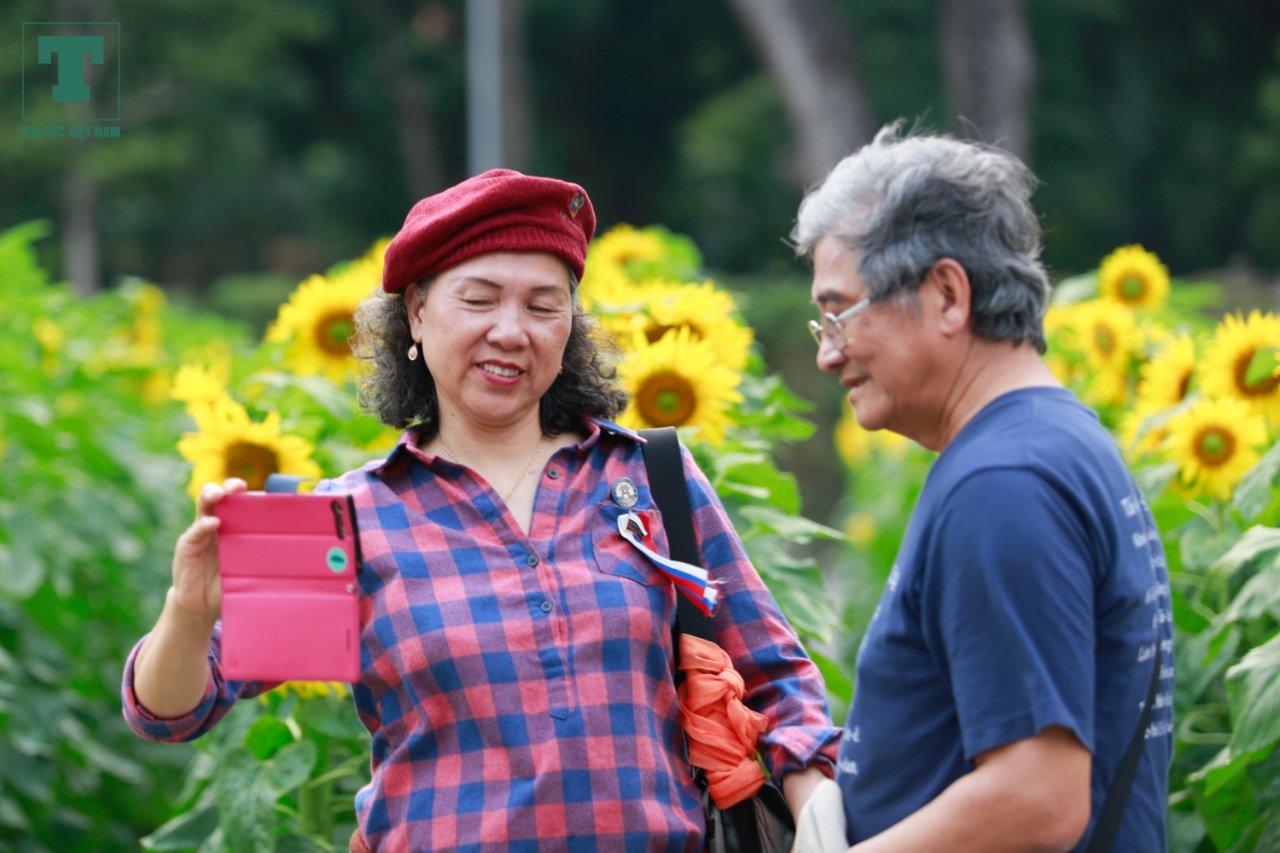 gioi-tre-tha-ho-check-in-canh-dong-hoa-huong-duong-tai-hoang-thanh-thang-long