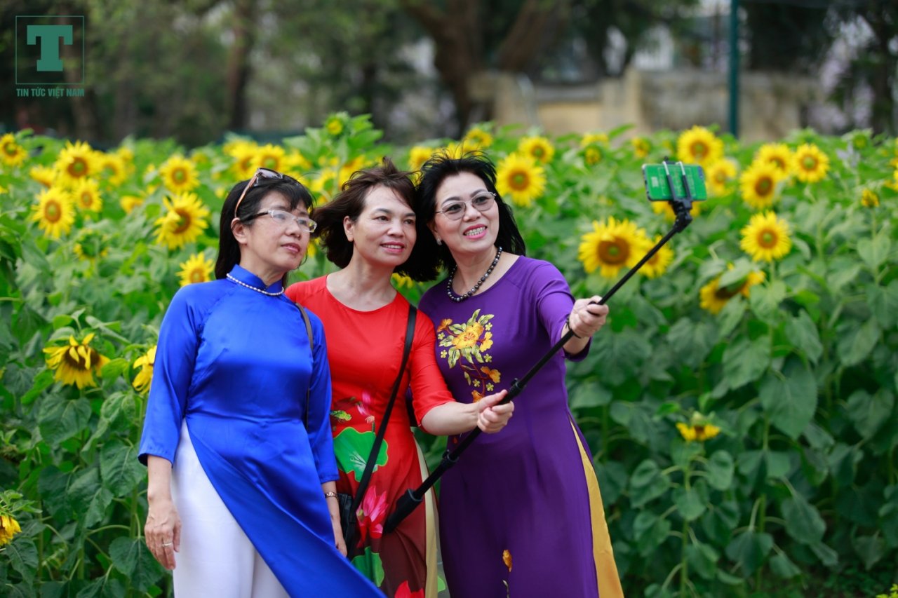 gioi-tre-tha-ho-check-in-canh-dong-hoa-huong-duong-tai-hoang-thanh-thang-long
