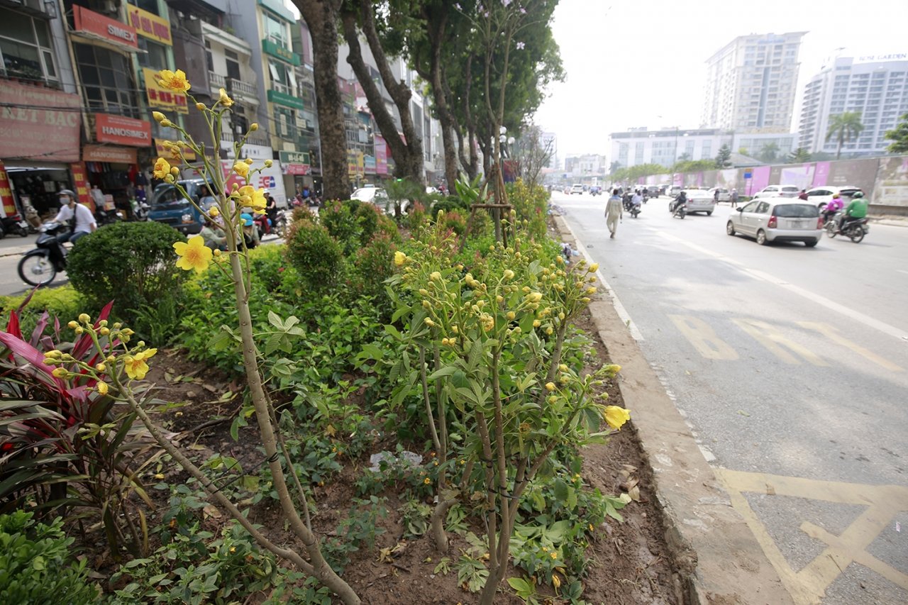 ha-noi-trang-tri-pho-phuong-chuan-bi-cho-cuoc-gap-thuong-dinh-my-trieu-dau-tien