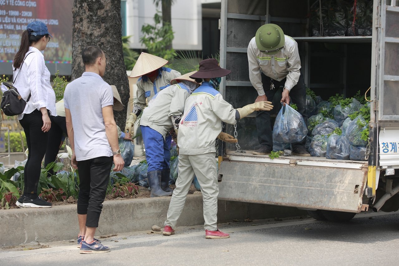 ha-noi-trang-tri-pho-phuong-chuan-bi-cho-cuoc-gap-thuong-dinh-my-trieu-dau-tien