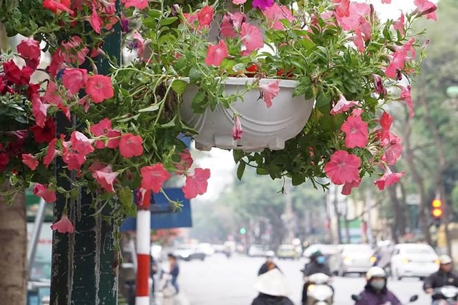 Hà Nội hoàn tất chỉnh trang đường phố chờ đón thượng đỉnh Mỹ-Triều