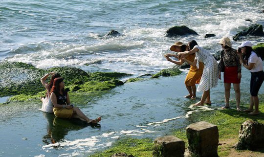 Ngắm bãi rêu xanh tuyệt đẹp hút khách ở Nha Trang