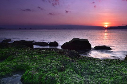 Ngắm bãi rêu xanh tuyệt đẹp hút khách ở Nha Trang