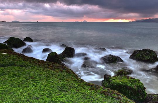 Ngắm bãi rêu xanh tuyệt đẹp hút khách ở Nha Trang