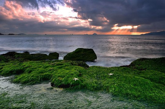 Ngắm bãi rêu xanh tuyệt đẹp hút khách ở Nha Trang