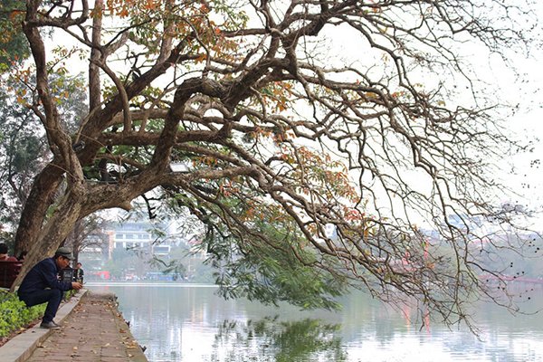 lung-linh-ve-dep-binh-yen-cua-mua-xuan-ha-noi