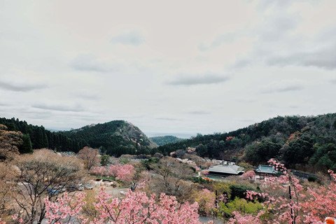Ghé Nhật Bản thăm ngôi chùa chứa hàng nghìn búp bê Daruma hình ảnh 3 Ghé Nhật Bản thăm ngôi chùa chứa hàng nghìn búp bê Daruma