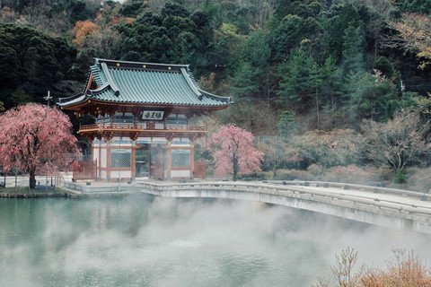 Ghé Nhật Bản thăm ngôi chùa chứa hàng nghìn búp bê Daruma hình ảnh 1 Ghé Nhật Bản thăm ngôi chùa chứa hàng nghìn búp bê Daruma