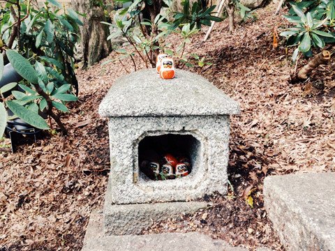 Ghé Nhật Bản thăm ngôi chùa chứa hàng nghìn búp bê Daruma hình ảnh 9 Ghé Nhật Bản thăm ngôi chùa chứa hàng nghìn búp bê Daruma