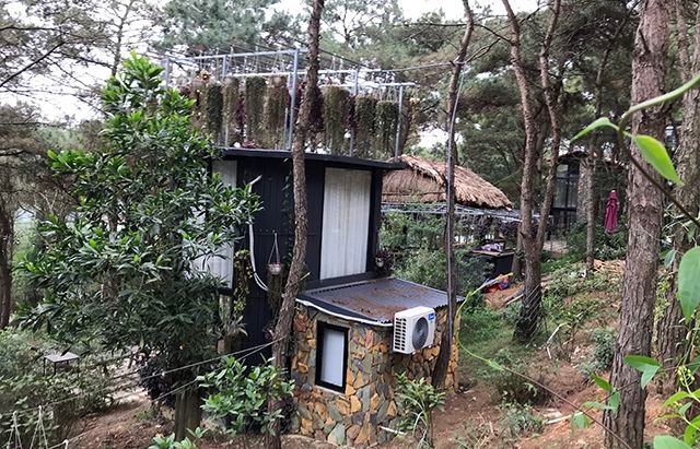 Loạt biệt thự lẩn khuất trong rừng Sóc Sơn vẫn 