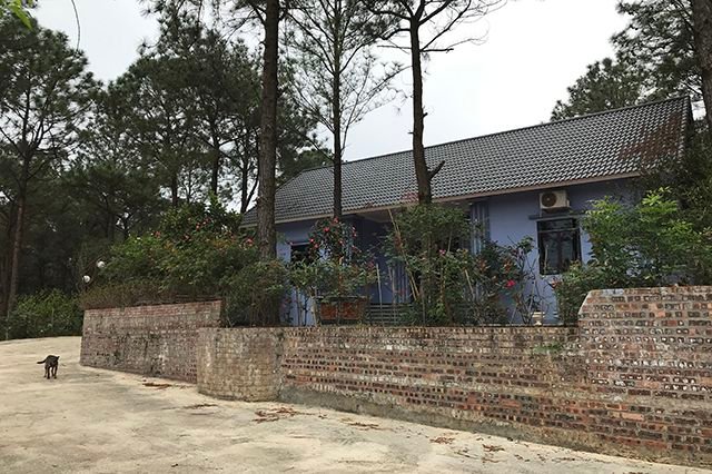 Loạt biệt thự lẩn khuất trong rừng Sóc Sơn vẫn 