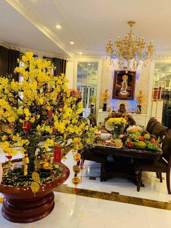 Biệt thự triệu đô ít người biết của Lệ Quyên và chồng đại gia ở Sài Gòn