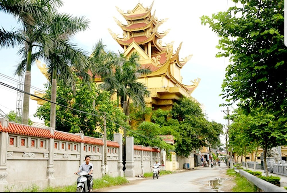 lang-meo-2.jpg