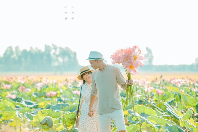 da-lung-ra-dia-chi-canh-dong-sen-rong-bat-ngat-tai-an-giang-thien-duong-song-ao-la-day-chu-dau-nua