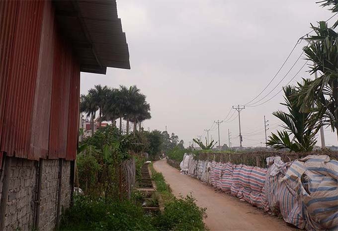 vu-nguoi-phu-nu-di-tap-the-duc-bi-sat-hai-giam-dinh-van-tay-khi-nhan-chung-chet