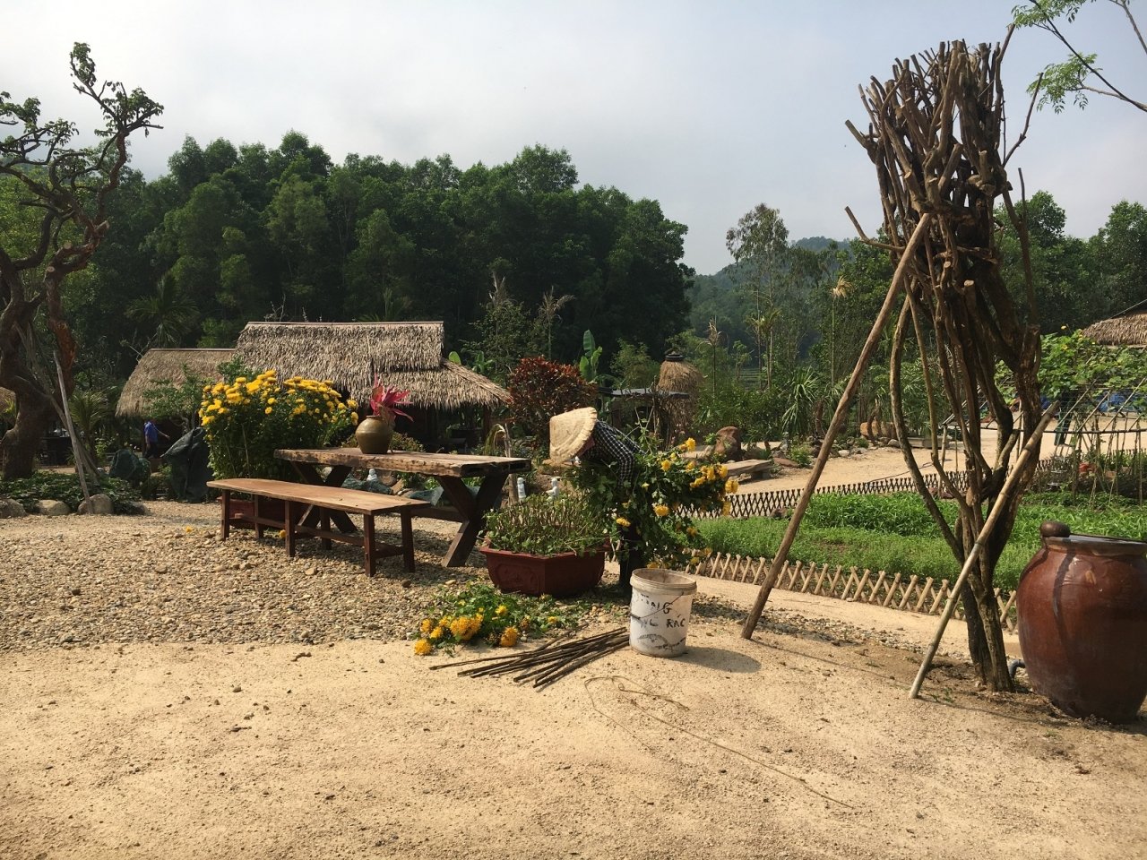 can-canh-khu-nghi-duong-chui-giua-long-rung-phong-ho