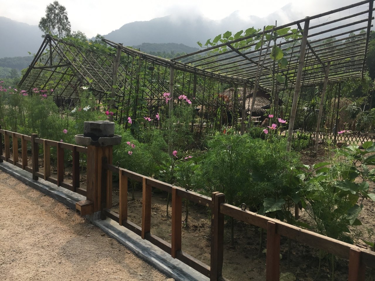 can-canh-khu-nghi-duong-chui-giua-long-rung-phong-ho