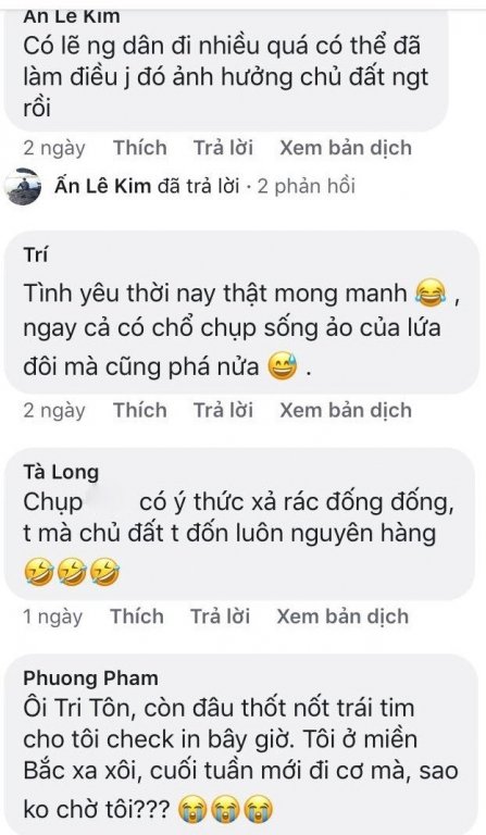 Dân mạng tiếc nuối vì cây thốt nốt trái tim ở An Giang bị chặt lá