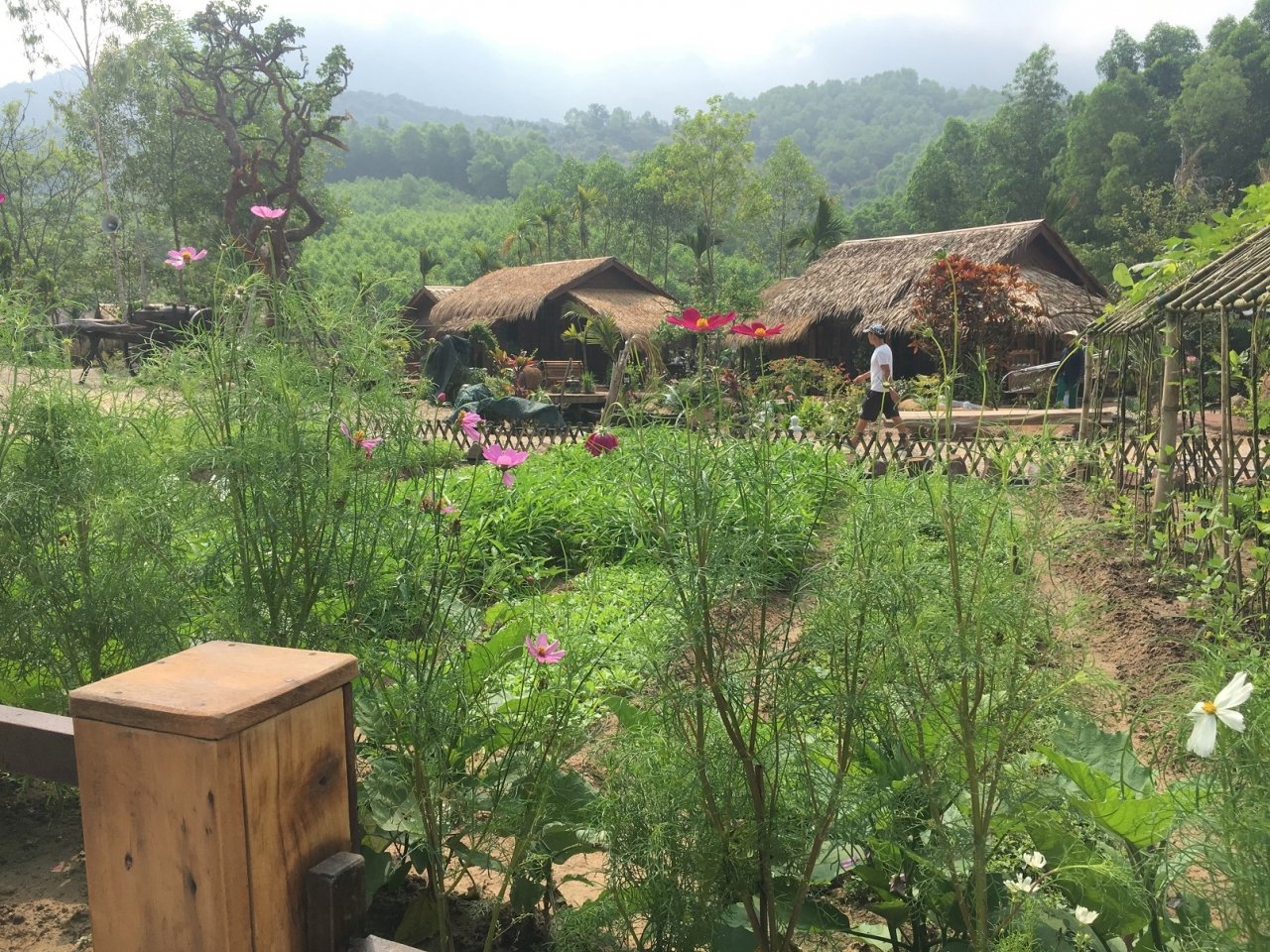 vu-khu-nghi-duong-chui-trong-rung-phong-ho-ngay-thao-do-duoc-doi-den-15-3